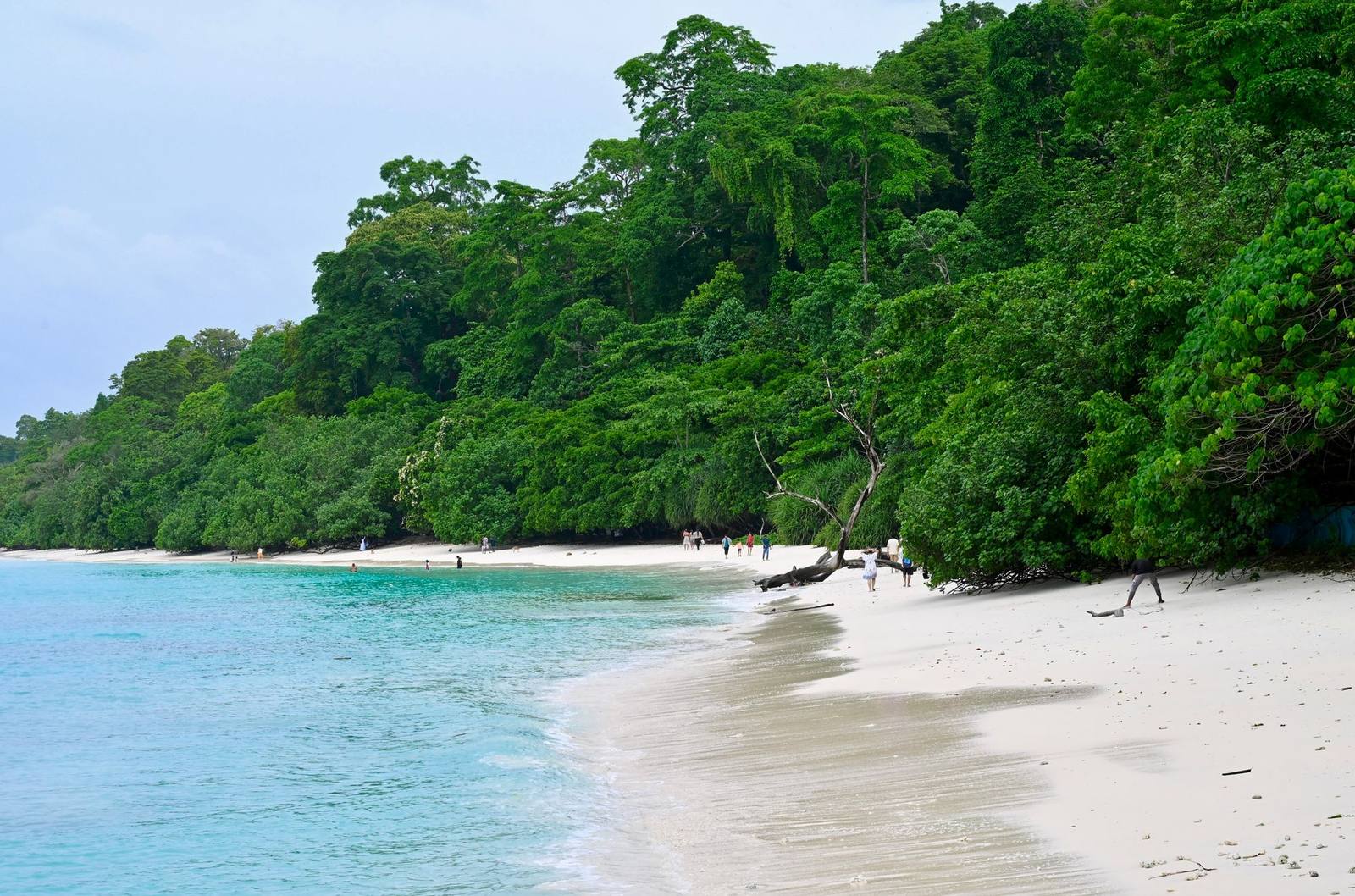 Radhanagar Beach, Havelock