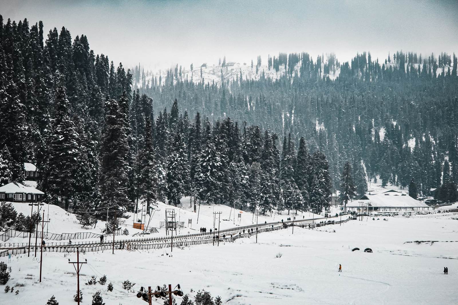 Gulmarg meadows