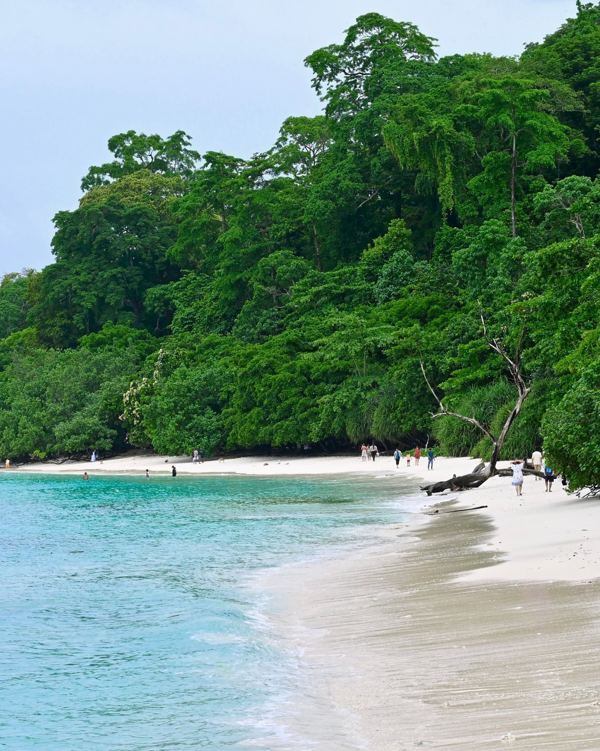 Beach in the Andaman Islands