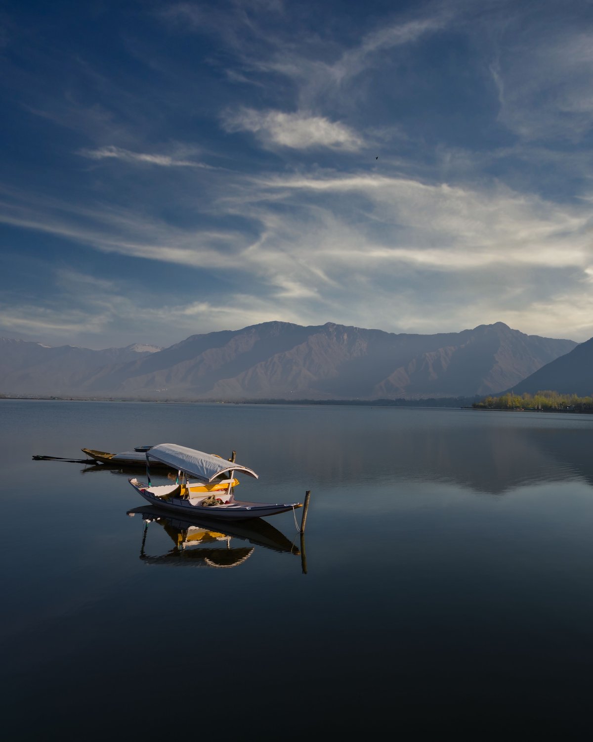 Shikara on Dal Lake with mountains
