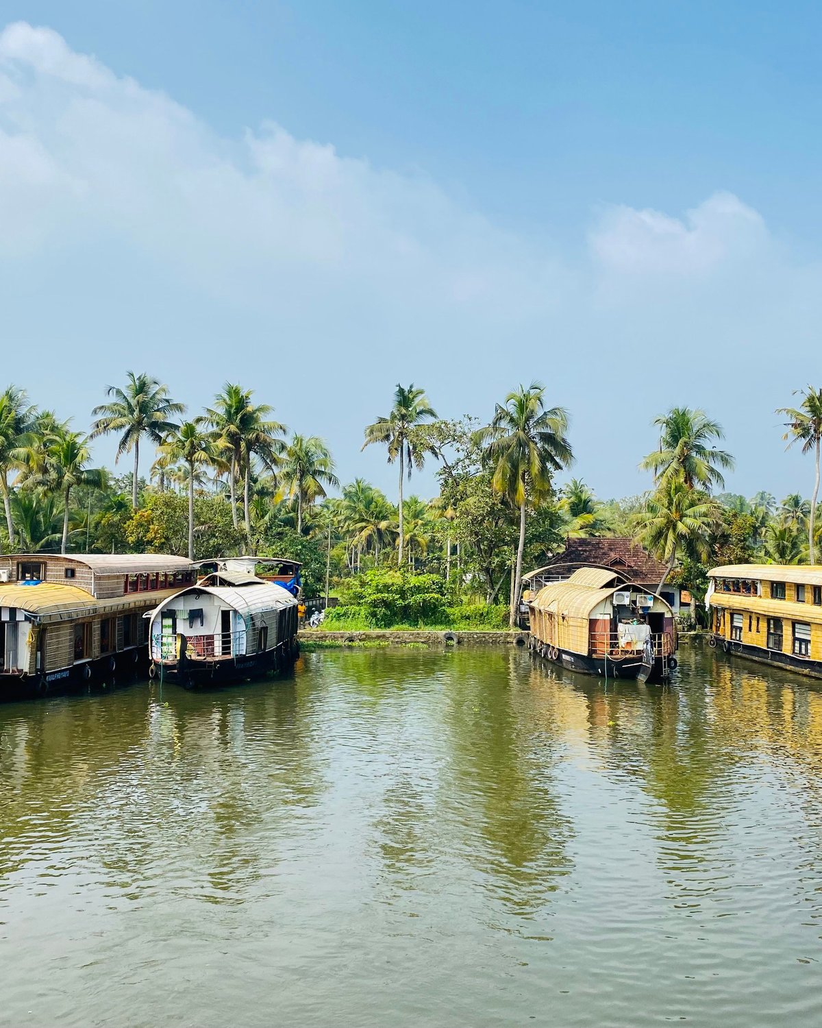 Kerala backwaters houseboat