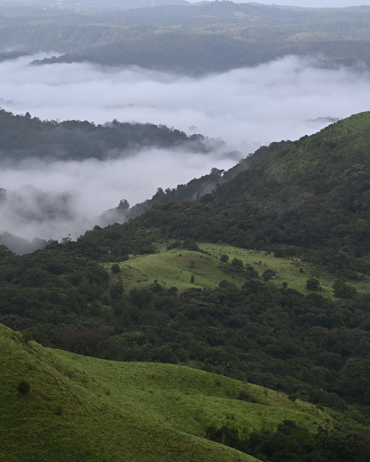 Nilgiri hills, Ooty